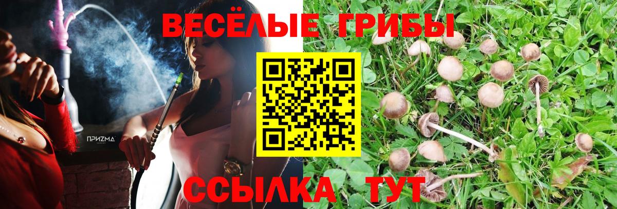 Псилоцибиновые грибы ЛСД Алушта