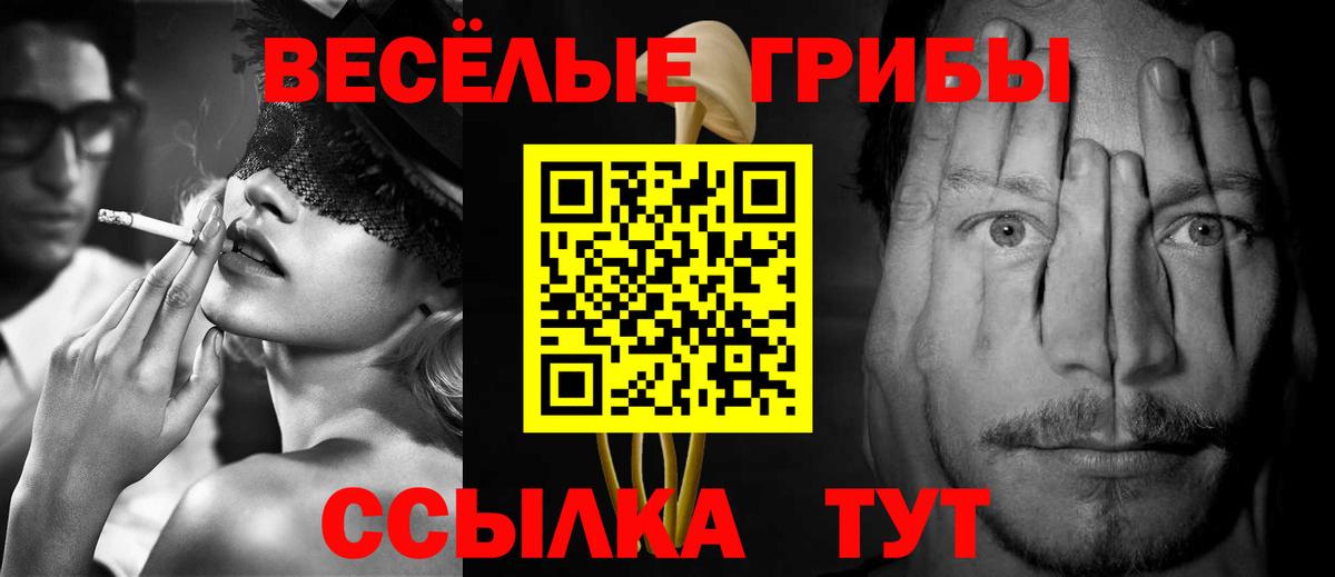 Псилоцибиновые грибы Psilocybe  Вход с VPN  Псилоцибиновые грибы GOLDEN TEACHER  Алушта 